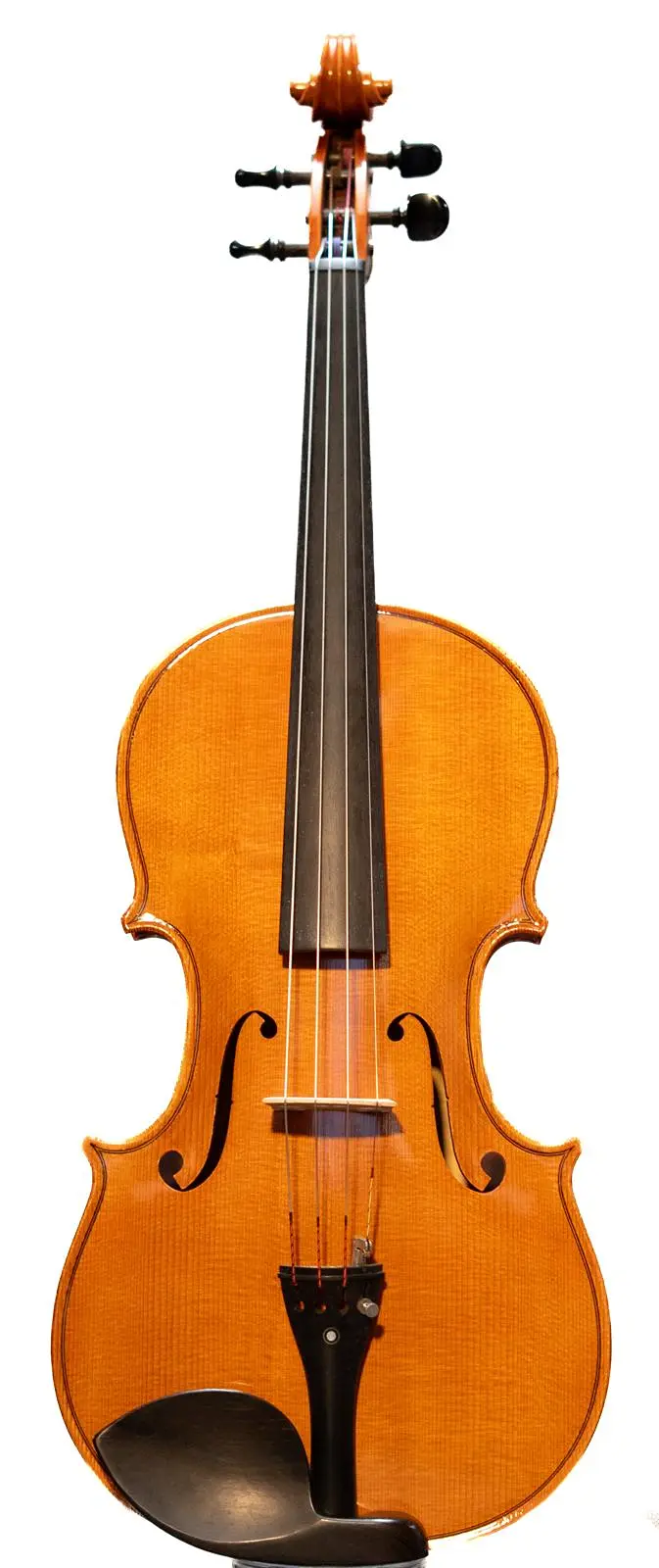Viola Verona - M.L. 1994